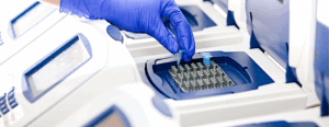 PCR-Based System for Multi-Pathogen Detection